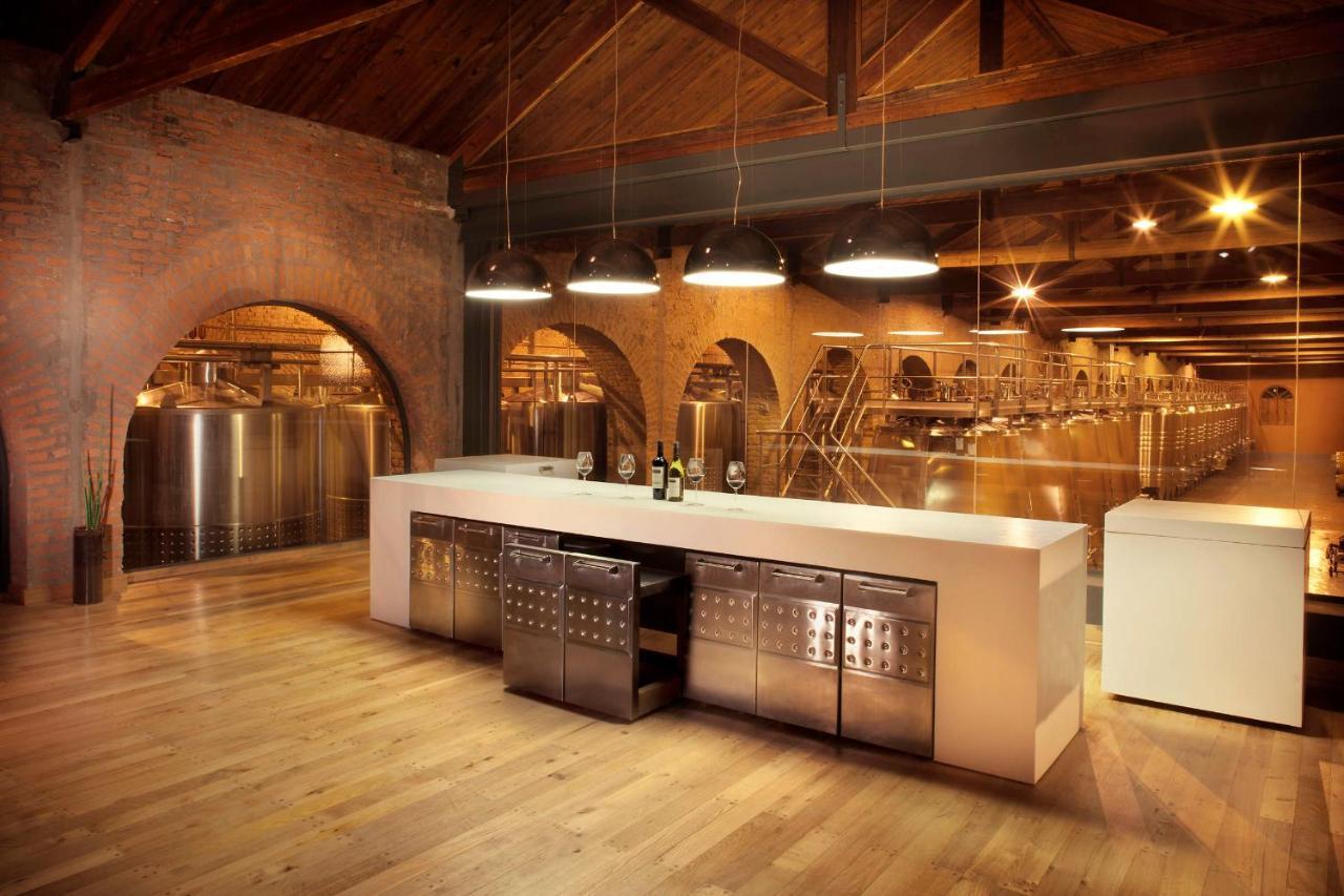 Terrazas De Los Andes Guest House Lujan de Cuyo المظهر الخارجي الصورة